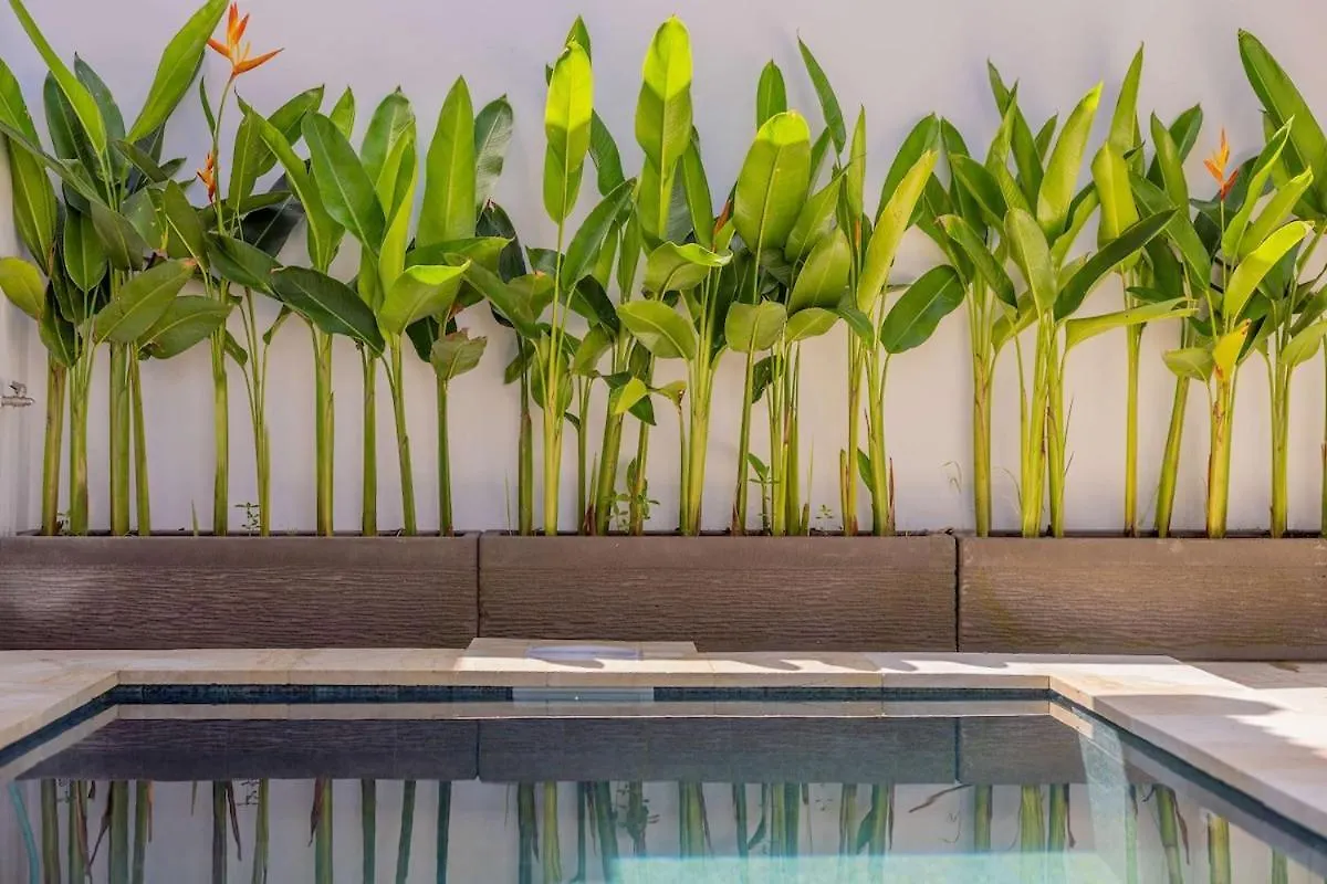 Villa Fenix Brand New 1Br Villa In Umalas, Bali Kerobokan  Indonesia